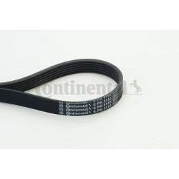 Dirželis  CONTINENTAL CTAM 6PK1153