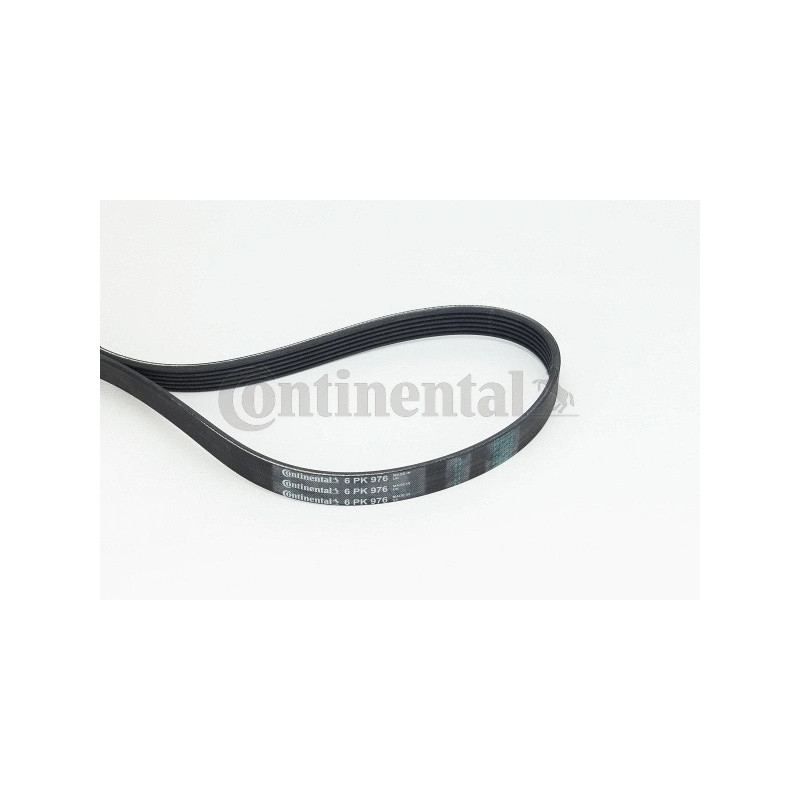 Dirželis  CONTINENTAL CTAM 6PK976