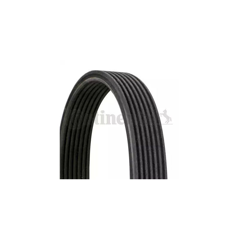 Dirželis  CONTINENTAL CTAM 7DPK1697