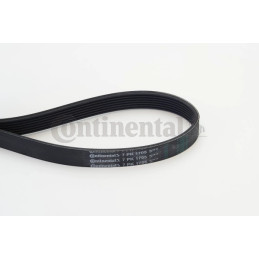 Dirželis  CONTINENTAL CTAM 7PK1705