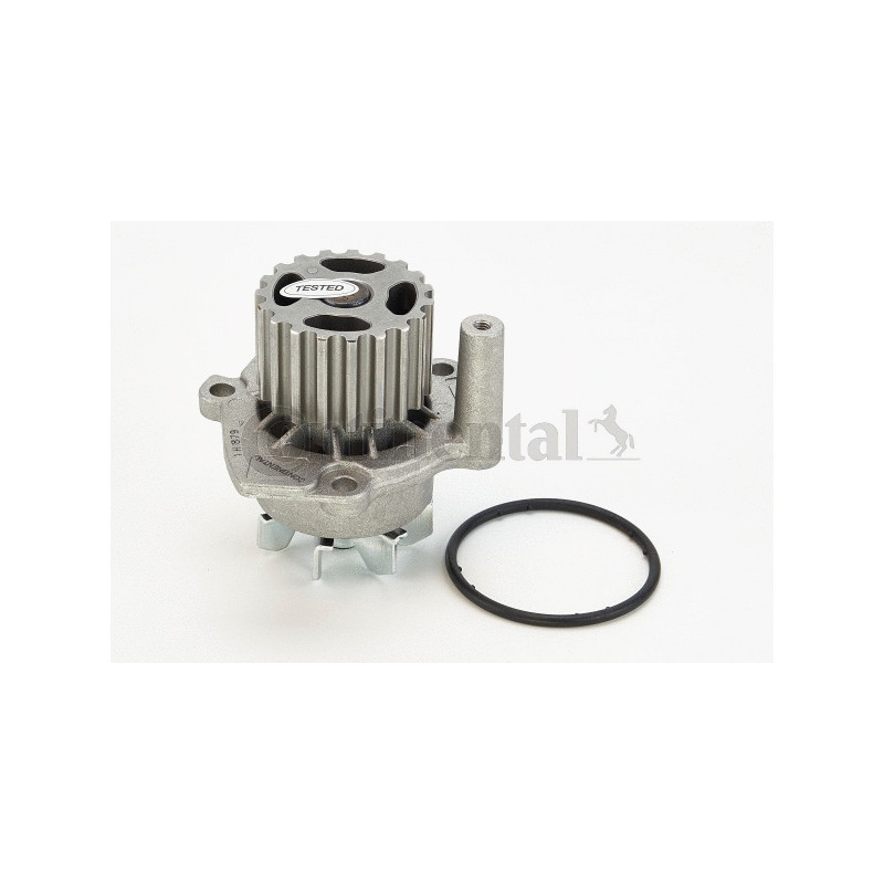 Vandens siurblys  CONTINENTAL CTAM WP6001