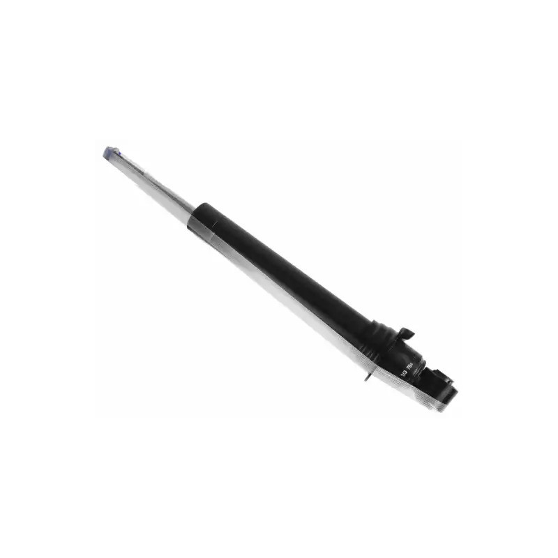 Amortizatorius  SACHS 313 794