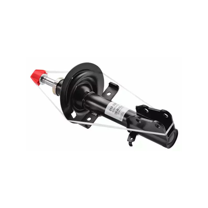 Amortizatorius  SACHS 315 298