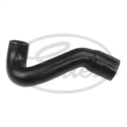 Radiatoriaus žarna  GATES 3575