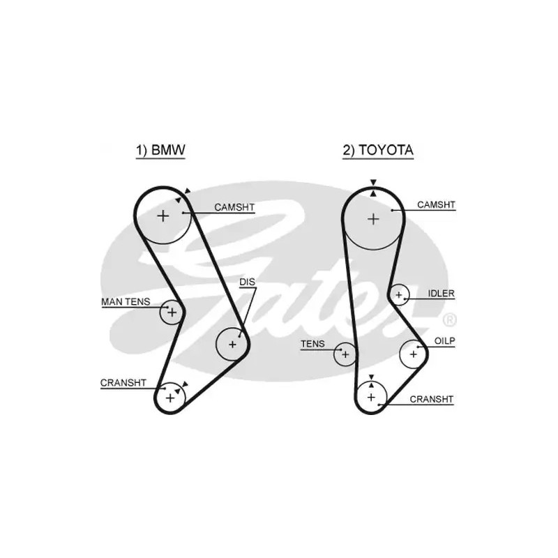 Paskirstymo diržas  GATES 5017