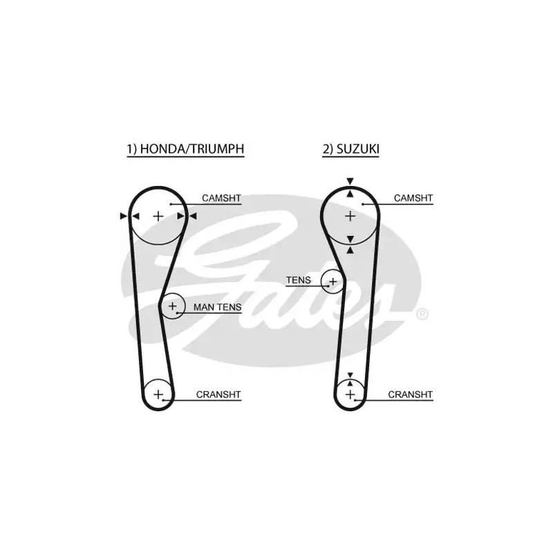 Paskirstymo diržas  GATES 5019