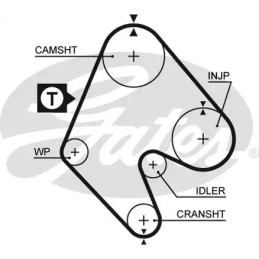 Paskirstymo diržas  GATES 5048