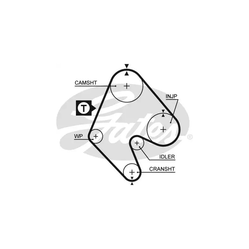 Paskirstymo diržas  GATES 5048