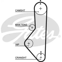 Paskirstymo diržas  GATES 5085