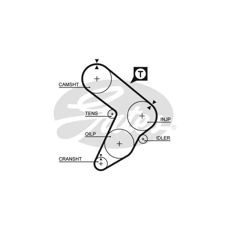 Paskirstymo diržas  GATES 5087