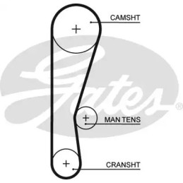 Paskirstymo diržas  GATES 5119