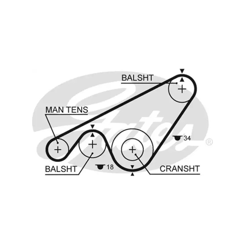 Paskirstymo diržas  GATES 5243XS