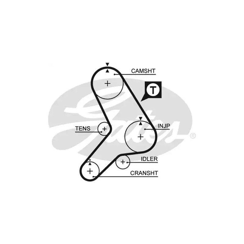 Paskirstymo diržas  GATES 5281