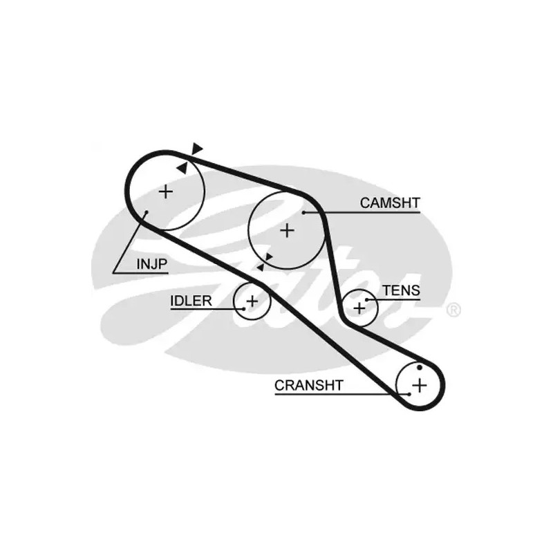 Paskirstymo diržas  GATES 5303
