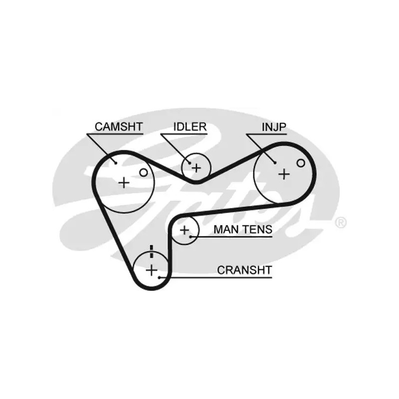Paskirstymo diržas  GATES 5306