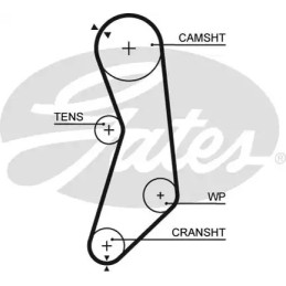 Paskirstymo diržas  GATES 5319