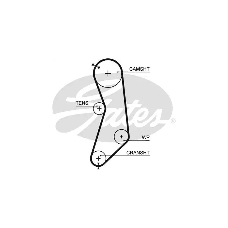 Paskirstymo diržas  GATES 5319