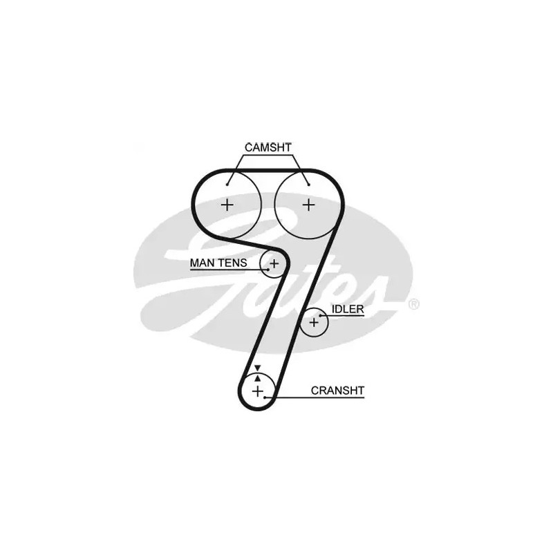 Paskirstymo diržas  GATES 5336