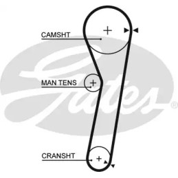 Paskirstymo diržas  GATES 5365