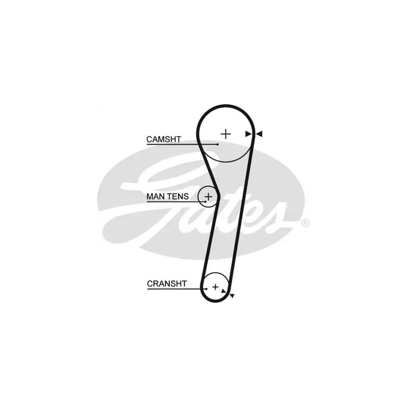 Paskirstymo diržas  GATES 5365