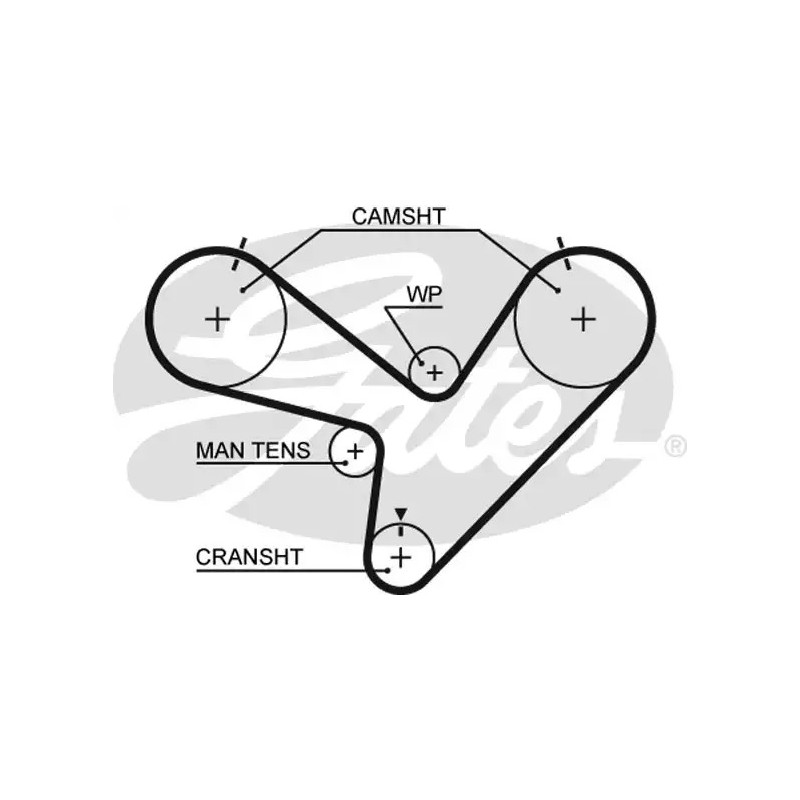 Paskirstymo diržas  GATES 5366XS