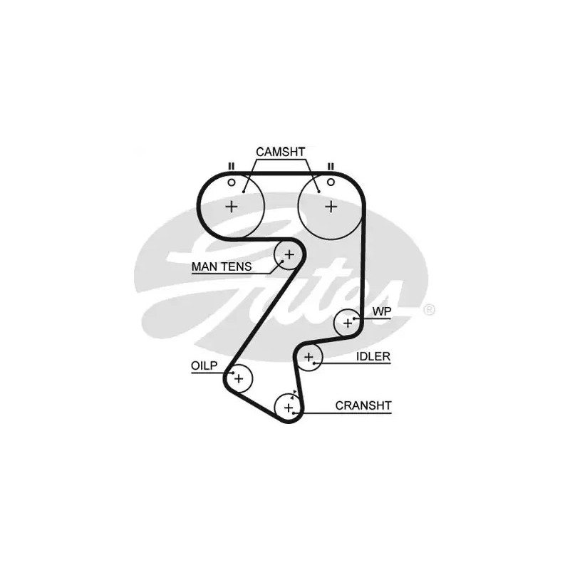 Paskirstymo diržas  GATES 5404XS