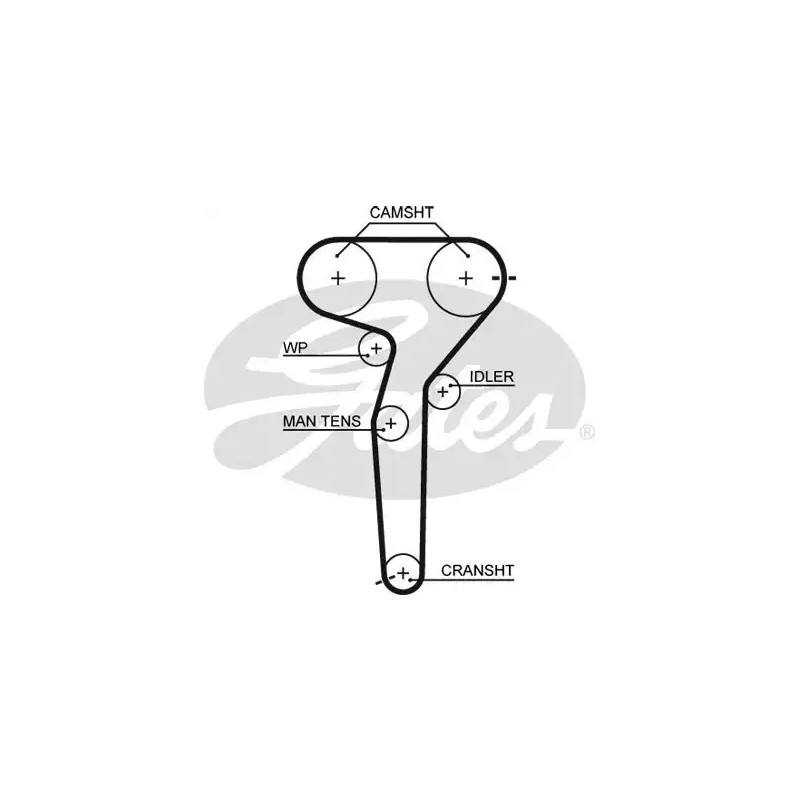 Paskirstymo diržas  GATES 5423XS