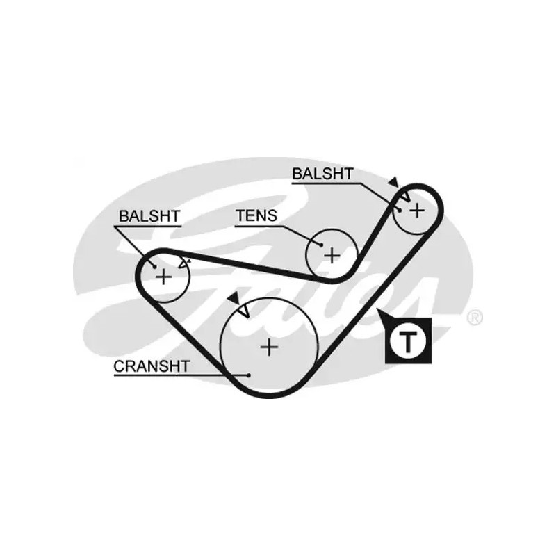 Paskirstymo diržas  GATES 5436XS