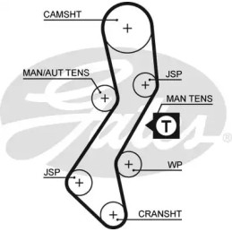 Paskirstymo diržas  GATES 5451XS