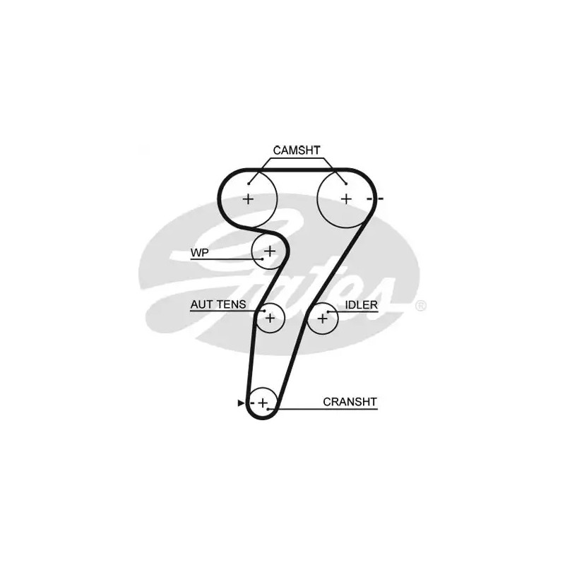 Paskirstymo diržas  GATES 5469XS