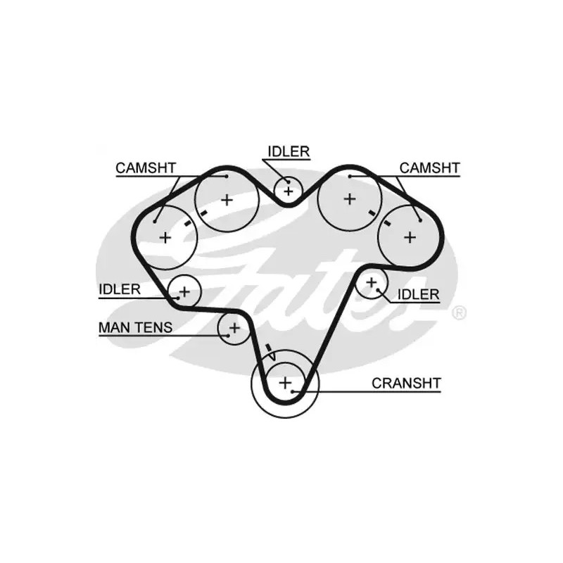Paskirstymo diržas  GATES 5475