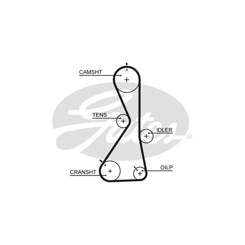Paskirstymo diržas  GATES 5481XS