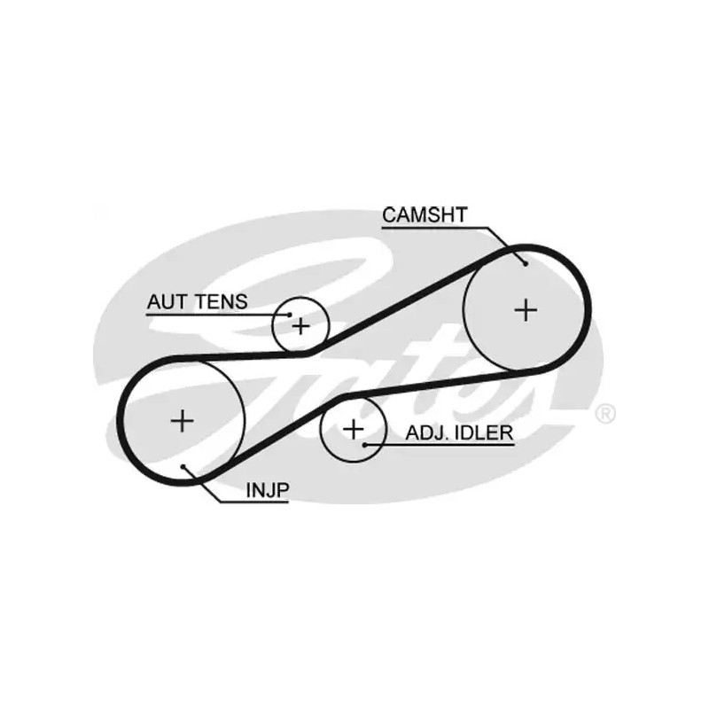 Paskirstymo diržas  GATES 5494XS