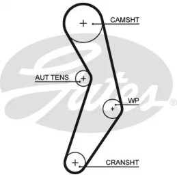 Paskirstymo diržas  GATES 5503XS