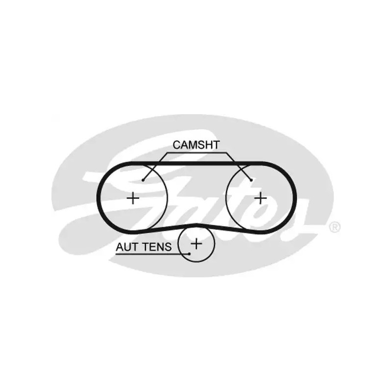 Paskirstymo diržas  GATES 5516XS