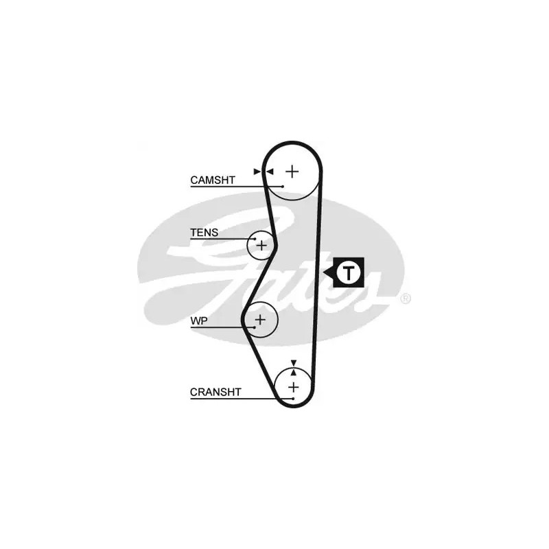 Paskirstymo diržas  GATES 5521