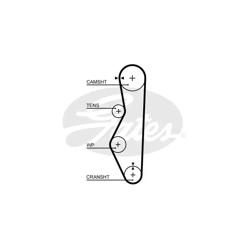 Paskirstymo diržas  GATES 5521XS