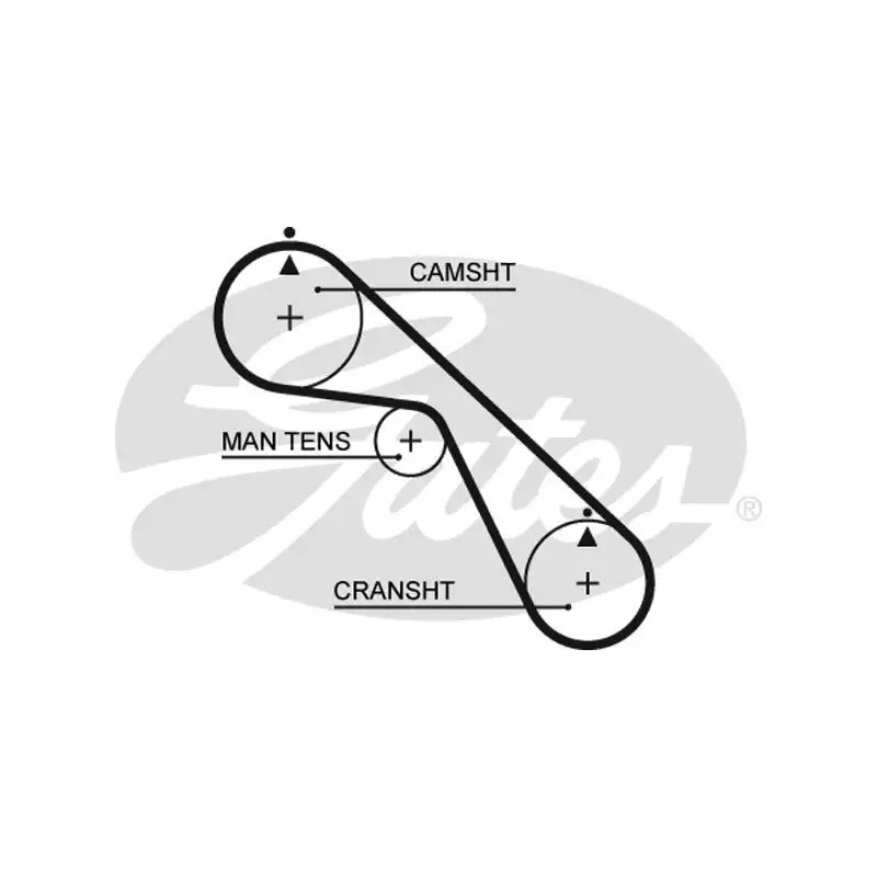 Paskirstymo diržas  GATES 5530XS