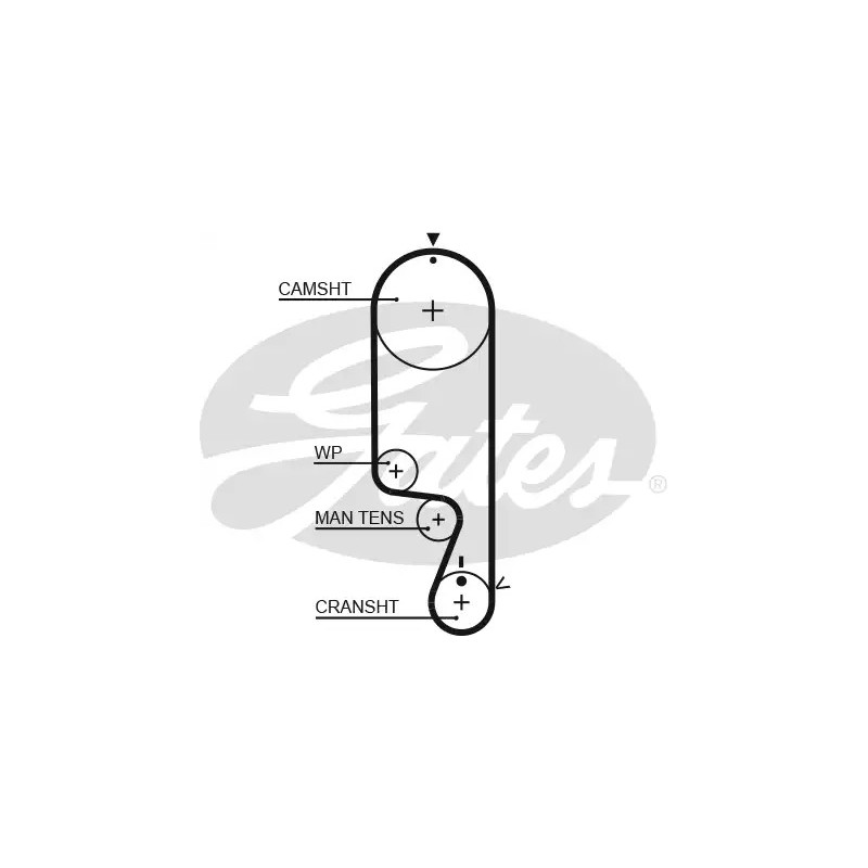 Paskirstymo diržas  GATES 5535XS