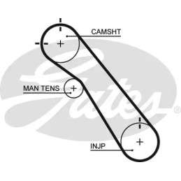 Paskirstymo diržas  GATES 5548XS