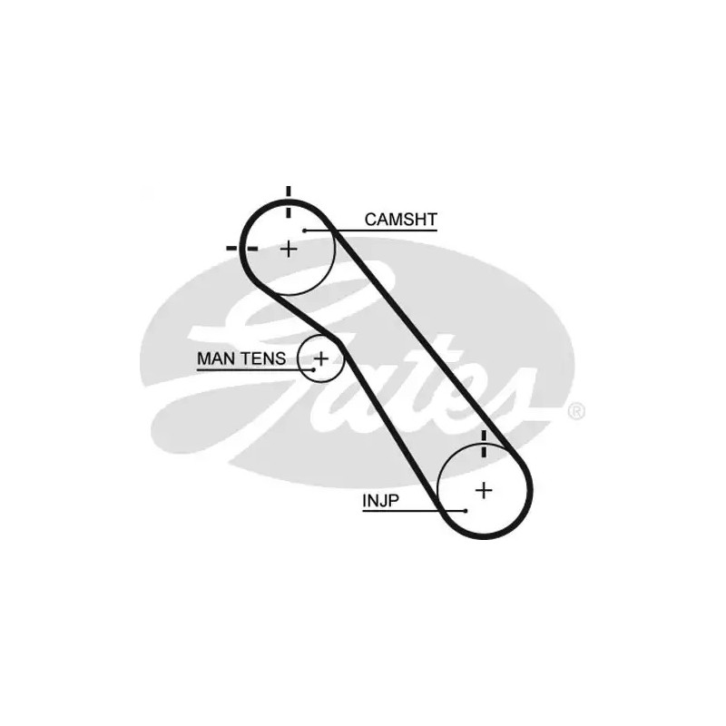 Paskirstymo diržas  GATES 5548XS