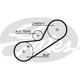 Paskirstymo diržas  GATES 5546XS