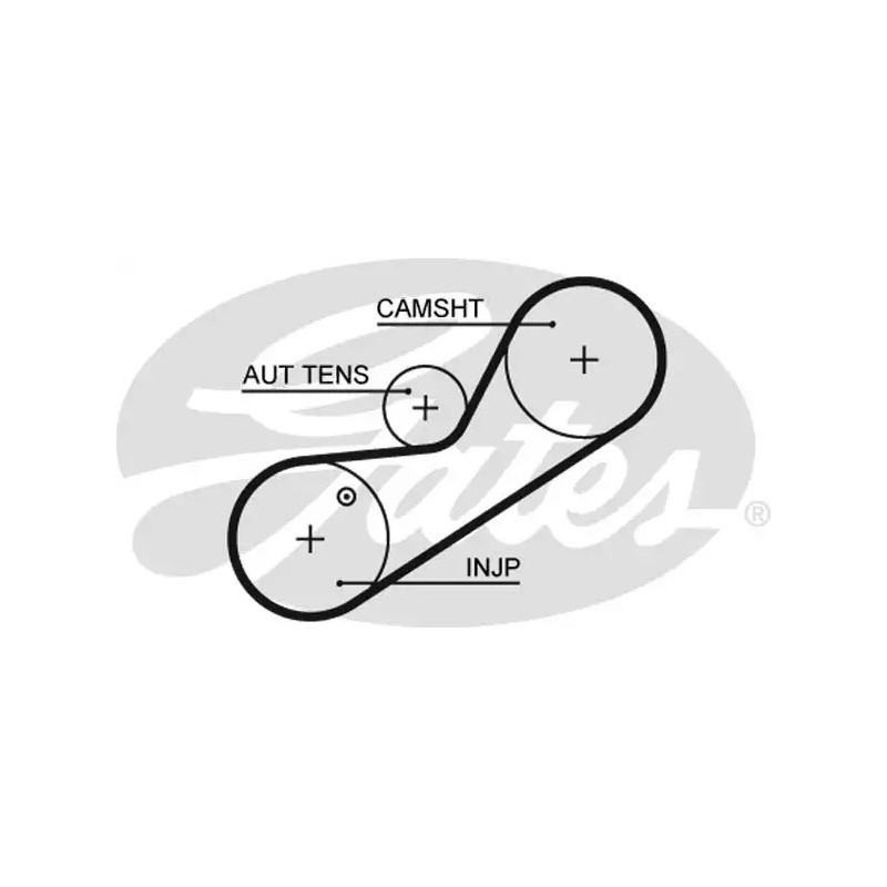 Paskirstymo diržas  GATES 5546XS