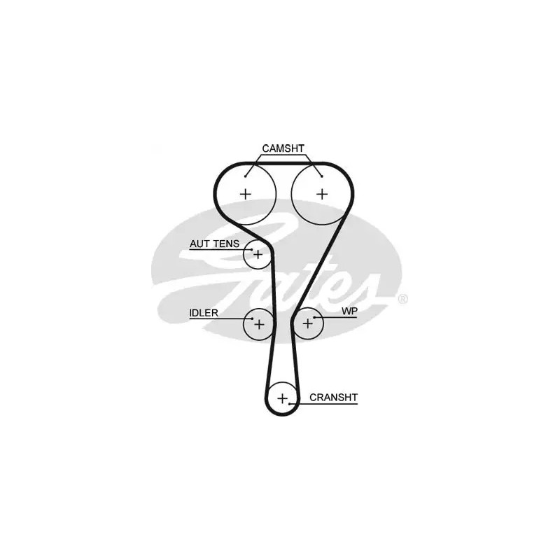 Paskirstymo diržas  GATES 5550XS