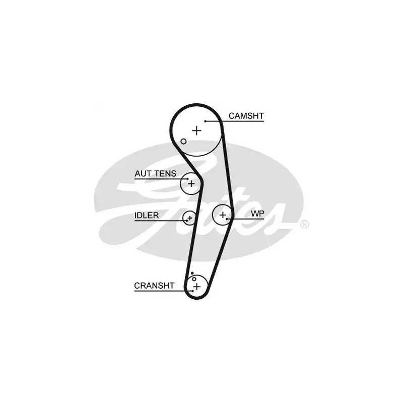 Paskirstymo diržas  GATES 5569XS