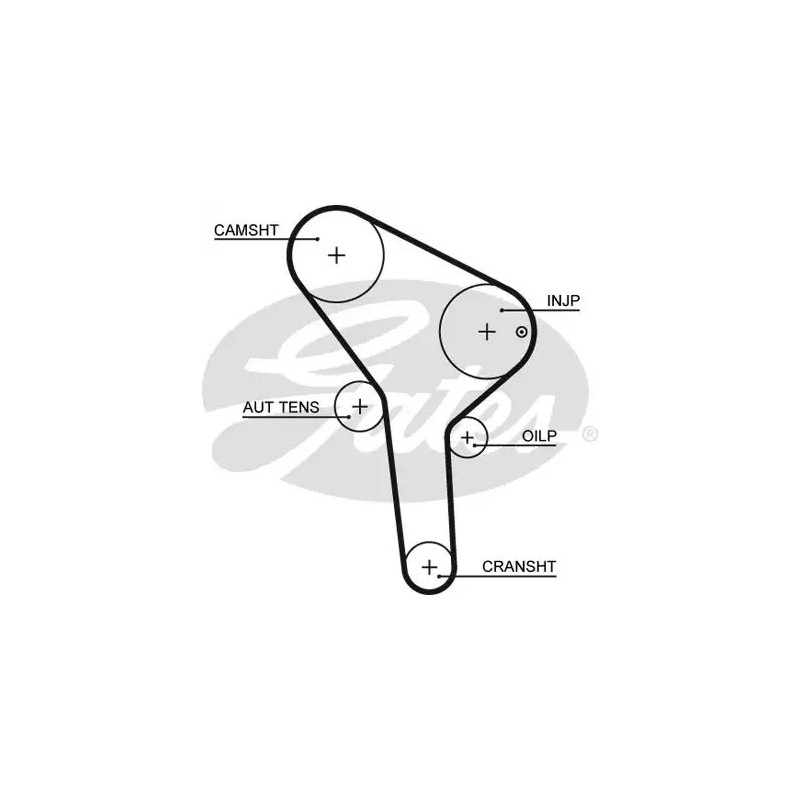 Paskirstymo diržas  GATES 5564XS