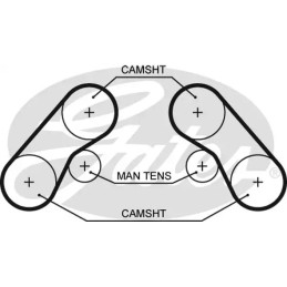 Paskirstymo diržas  GATES 5576XS