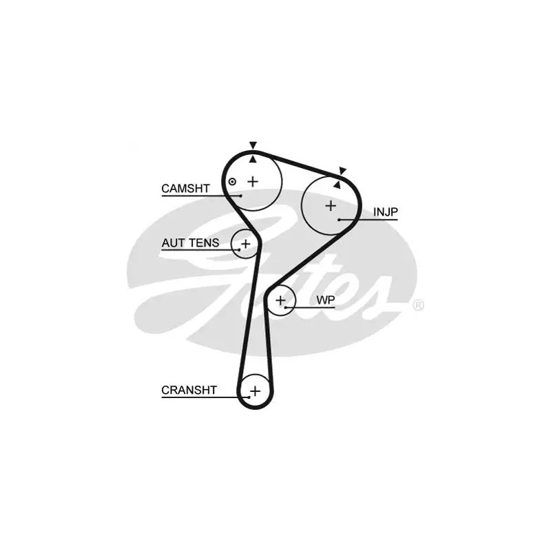 Paskirstymo diržas  GATES 5578XS