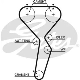 Paskirstymo diržas  GATES 5585XS