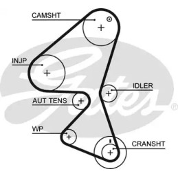 Paskirstymo diržas  GATES 5589XS